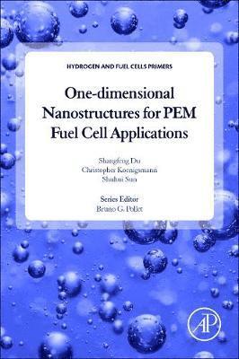 One-dimensional Nanostructures for PEM Fuel Cell Applications 1