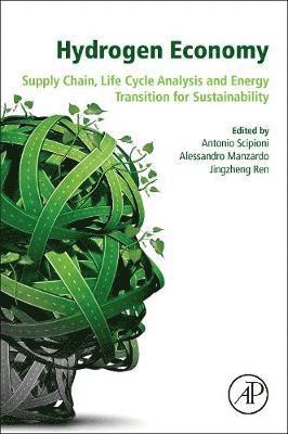 Antonio Scipioni, Alessandro Manzardo, Jingzheng Ren - Hydrogen Economy, Häftad
