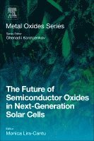 Monica Lira-Cantu - The Future of Semiconductor Oxides in Next-Generation Solar Cells, Häftad