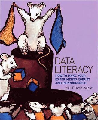 bokomslag Data Literacy