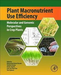 bokomslag Plant Macronutrient Use Efficiency