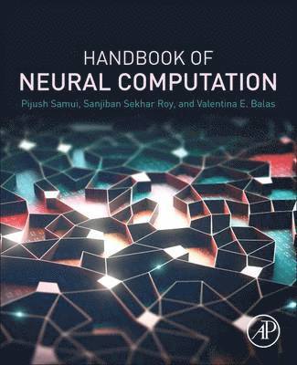 Handbook of Neural Computation 1
