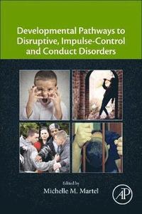 bokomslag Developmental Pathways to Disruptive, Impulse-Control, and Conduct Disorders