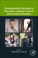 Developmental Pathways to Disruptive, Impulse-Control, and Conduct Disorders 1