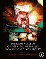 Vladimiro Vida, Giovanni Stellin - Fundamentals of Congenital Minimally Invasive Cardiac Surgery, Häftad