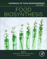 Alexandru Mihai Grumezescu, Alina Maria Holban - Food Biosynthesis, Häftad