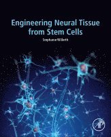 Stephanie Willerth - Engineering Neural Tissue from Stem Cells, Häftad