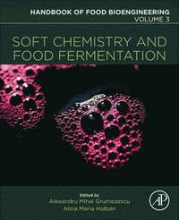 bokomslag Soft Chemistry and Food Fermentation