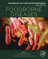 Alexandru Mihai Grumezescu, Alina Maria Holban - Foodborne Diseases, Häftad