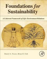 bokomslag Foundations for Sustainability