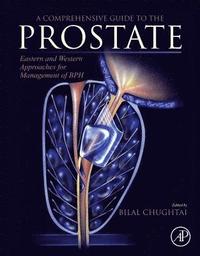 bokomslag A Comprehensive Guide to the Prostate