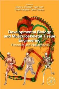 bokomslag Developmental Biology and Musculoskeletal Tissue Engineering