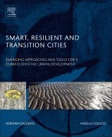 bokomslag Smart, Resilient and Transition Cities