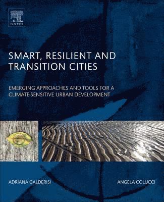 Smart, Resilient and Transition Cities 1