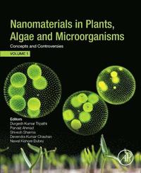 bokomslag Nanomaterials in Plants, Algae, and Microorganisms