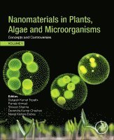 Durgesh Kumar Tripathi, Parvaiz Ahmad, Shivesh Sharma, Devendra Kumar Chauhan, Nawal Kishore Dubey - Nanomaterials in Plants, Algae, and Microorganisms, Häftad
