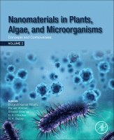 Durgesh Kumar Tripathi, Parvaiz Ahmad, Shivesh Sharma, Devendra Kumar Chauhan, Nawal Kishore Dubey - Nanomaterials in Plants, Algae and Microorganisms, Häftad