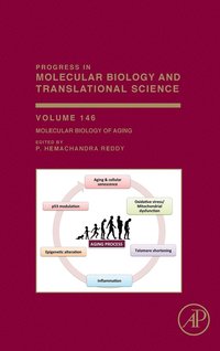 bokomslag Molecular Biology of Aging
