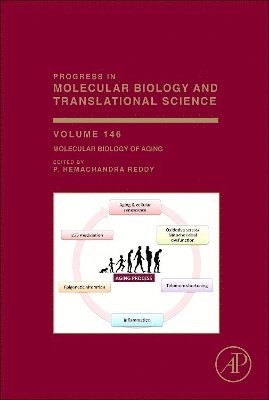 bokomslag Molecular Biology of Aging