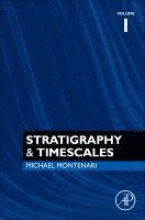 bokomslag Stratigraphy & Timescales