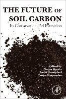 Carlos Garcia, Paolo Nannipieri, Teresa Hernandez - The Future of Soil Carbon, Häftad
