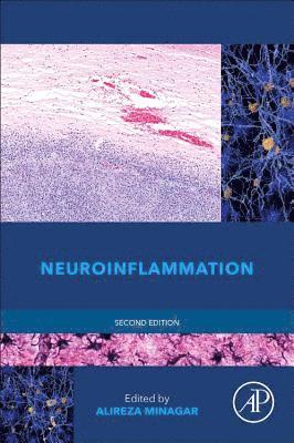 Alireza Minagar - Neuroinflammation, Inbunden