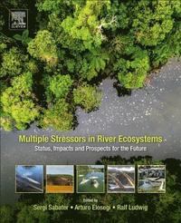 bokomslag Multiple Stressors in River Ecosystems