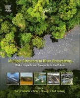 Sergi Sabater, Arturo Elosegi, Ralf Ludwig - Multiple Stressors in River Ecosystems, Häftad
