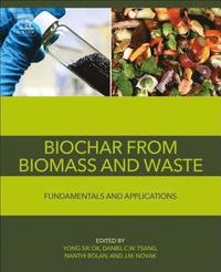 bokomslag Biochar from Biomass and Waste