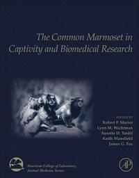 bokomslag The Common Marmoset in Captivity and Biomedical Research