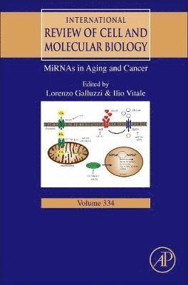 bokomslag MiRNAs in Aging and Cancer