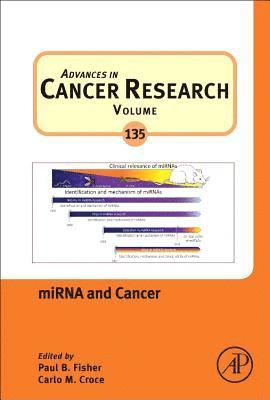 miRNA and Cancer 1