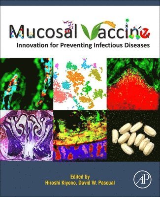 bokomslag Mucosal Vaccines