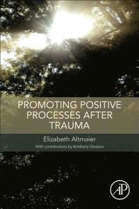 bokomslag Promoting Positive Processes after Trauma