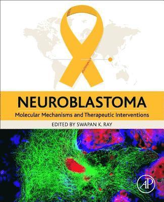 bokomslag Neuroblastoma