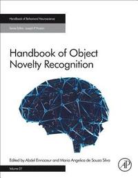 bokomslag Handbook of Object Novelty Recognition