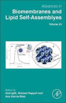 bokomslag Advances in Biomembranes and Lipid Self-Assembly