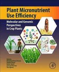 bokomslag Plant Micronutrient Use Efficiency