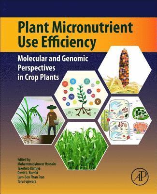 bokomslag Plant Micronutrient Use Efficiency