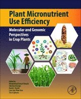 Mohammad Anwar Hossain, Takehiro Kamiya, David Burritt, Lam-Son Phan Tran, Toru Fujiwara - Plant Micronutrient Use Efficiency, Häftad