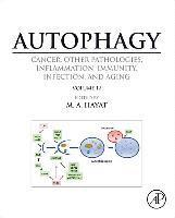 bokomslag Autophagy: Cancer, Other Pathologies, Inflammation, Immunity, Infection, and Aging