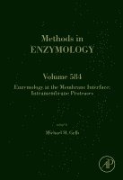 Michael H Gelb - Enzymology at the Membrane Interface: Intramembrane Proteases, Inbunden