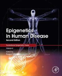 bokomslag Epigenetics in Human Disease