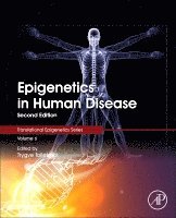 bokomslag Epigenetics in Human Disease