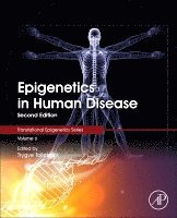 Trygve O. Tollefsbol, Trygve O Tollefsbol - Epigenetics in Human Disease, Inbunden