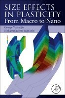 George Z. Voyiadjis, Mohammadreza Yaghoobi - Size Effects in Plasticity, Häftad
