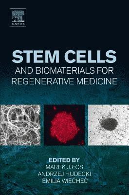 bokomslag Stem Cells and Biomaterials for Regenerative Medicine