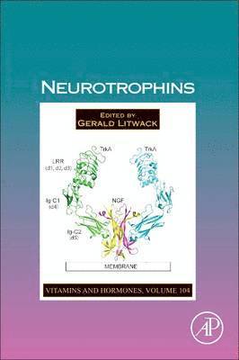 bokomslag Neurotrophins