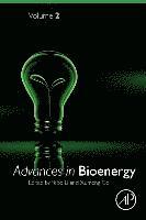 bokomslag Advances in Bioenergy
