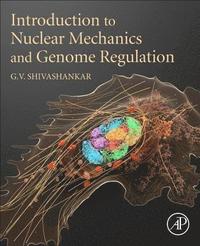 bokomslag Introduction to Nuclear Mechanics and Genome Regulation